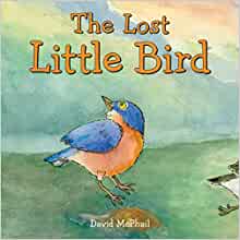 The Lost Little Bird