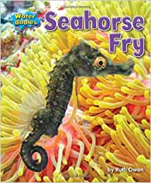 Seahorse Fry (Water Babies)