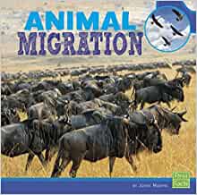 Animal Migration (Learn about Animal Behavior)