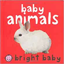 Baby Animals (Bright Baby) (Bright Baby)