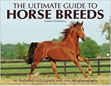 The Ultimate Guide to Horse Breeds (Our Ultimate Encyclopedias) by Andrea Fitzpatrick (2003-09-02)