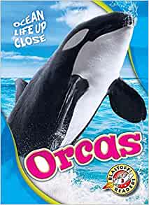 Orcas (Ocean Life Up Close)