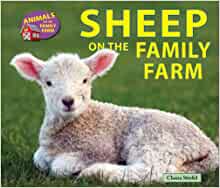 Sheep on the Family Farm (Animals on the Family Farm)