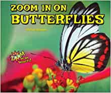 Zoom in on Butterflies (Zoom in on Insects!)