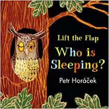 Who Is Sleeping? (A Lift the Flap Book)