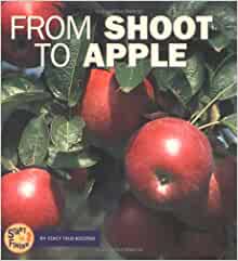 From Shoot to Apple (Start to Finish)