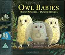 Owl Babies