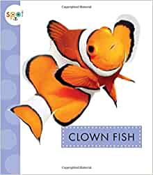 Clown Fish (Spot Ocean Animals)