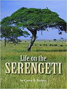 Life on the Serengeti (Houghton Mifflin Science)