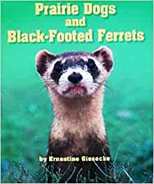 Houghton Mifflin Science California: Ind Bk Lv6 Chp7 Challenge Prairie Dogs and Black-footed Ferrets