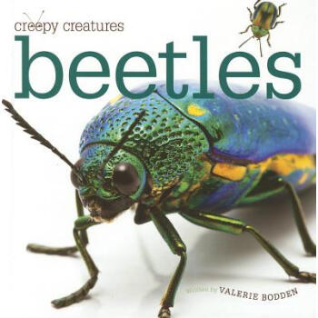 Creepy Creatures Beetles