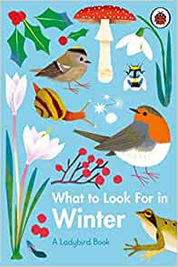 What to Look For in Winter