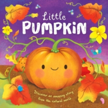 Little Pumpkin: Nature Stories Padded