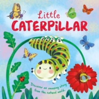 Little Caterpillar: Nature Stories Padded