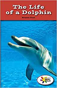 The Life of a Dolphin (Rosen Real Readers: Steam Collection)