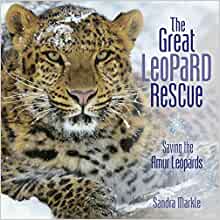 The Great Leopard Rescue: Saving the Amur Leopards (Sandra Markle's Science Discoveries)