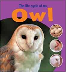 The Life Cycle of an Owl (Learning about Life Cycles)