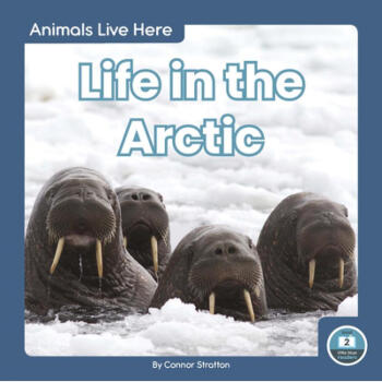 Animals Live Here: Life in the Arctic