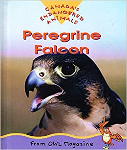 Peregrine Falcon: Endangered Animals Series