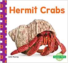 Hermit Crabs (Family Pets)