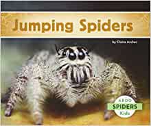 Jumping Spiders