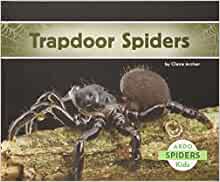 Trapdoor Spiders