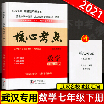 2023年核心考點(diǎn)?初中數(shù)學(xué)(八年級下冊RJ)