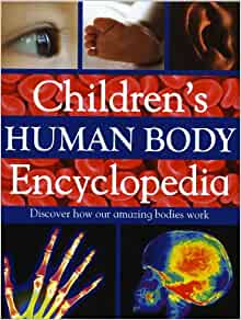 HUMAN BODY