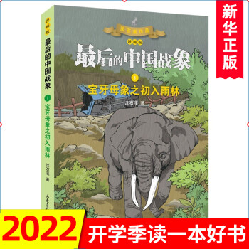 沈石溪動物小說漫畫版 最后的中國戰(zhàn)象系列 寶牙母象之初入雨林 小學生課外書籍