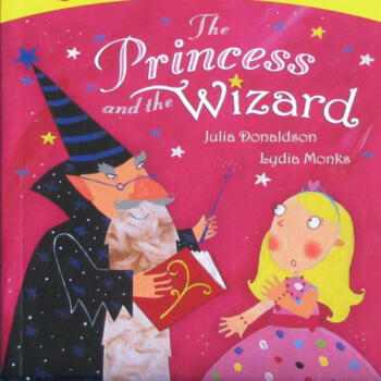 The princess and the wizard by Julia Donaldson Mac