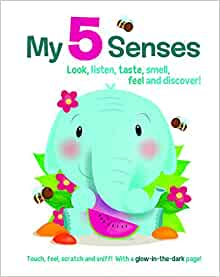 My Senses (Boardbook)