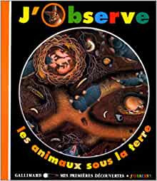 J'observe la vie sous la terre (MES PREMIERES DECOUVERTES J'OBSERVE)