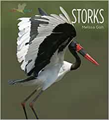 Storks (Living Wild (Hardcover))