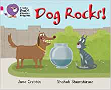 Dog Rocks! (Collins Big Cat Phonics Progress)