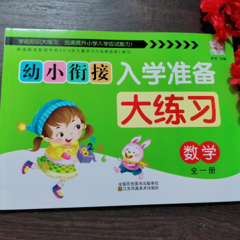 幼小銜接入學(xué)準(zhǔn)備大練習(xí) 5冊(cè)數(shù)學(xué)/語(yǔ)言/拼音/10以內(nèi)加減法/20以內(nèi)加減法練習(xí)冊(cè)測(cè)試卷幼兒園大班學(xué) 數(shù)學(xué) 全一冊(cè)