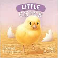 Little Chick Hardcover (9781435153516)