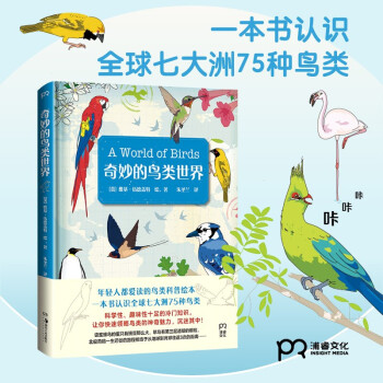 奇妙的鸟类世界 [英]维基·伍德盖特著,朱圣兰 译 湖南美术出版社 新华书店正版图书