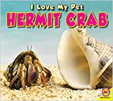 Hermit Crab (I Love My Pet)