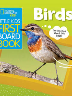 预售英文原版 鸟类Little Kids First Board Book Little Kids儿童一本纸板书Ruth Musgrave亲子互动学习科普儿童图画书籍