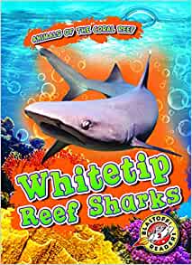 Whitetip Reef Sharks (Animals of the Coral Reefs)