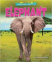 Elephant (Library of Awesome Animals)