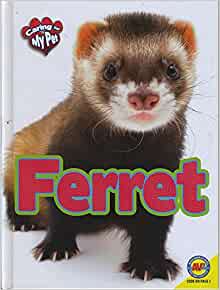 Ferret (Caring for My Pet)