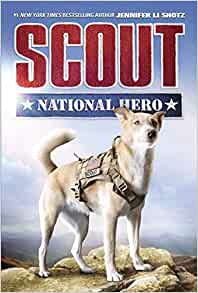 Scout: National Hero (Scout, 1)