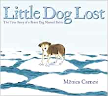 Little Dog Lost: The True Story of a Brave Dog Named Baltic