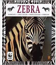 Zebra (Natural World)