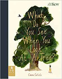 What Do You See When You Look At a Tree?