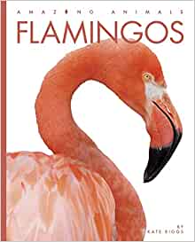 Flamingos (Amazing Animals)