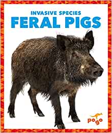 Feral Pigs (Pogo Books: Invasive Species)