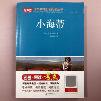 名師講解版小海蒂居里夫人傳契科夫短篇小說選中國(guó)小學(xué)生鵝十萬個(gè) 小海蒂