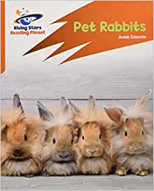 Reading Planet: Rocket Phonics - Target Practice - Pet Rabbits - Orange